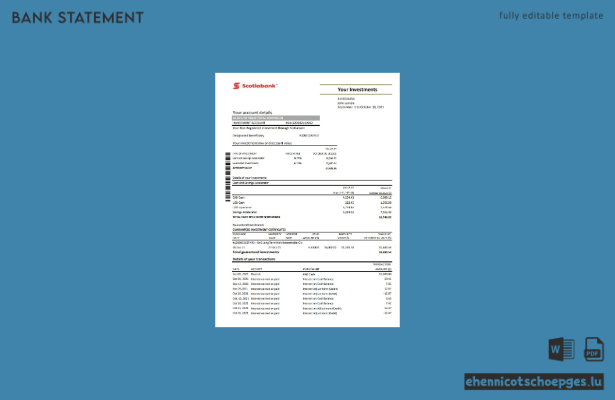 Beispiel eines Kontoauszugs der Chile Scotiabank (Excel-Vorschau)